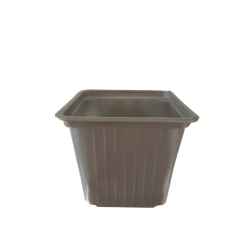 Pahare răsaduri 8x8x7