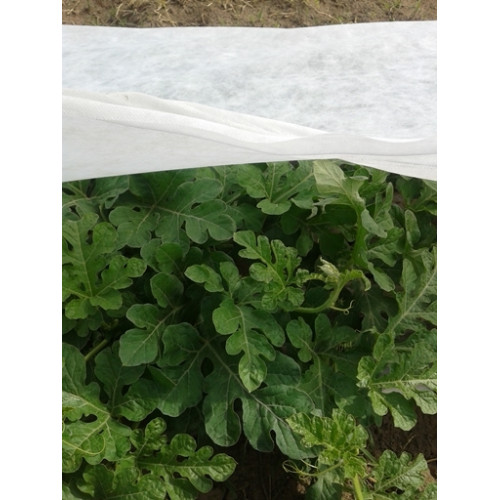 Folie microporoasa agril P30