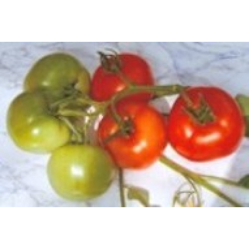 Balkan F1 Tomate