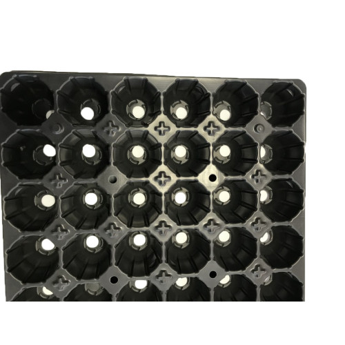 Tavi alveolare 60