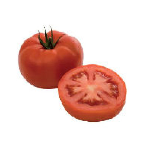 Panekra F1 Tomate