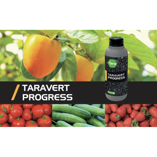 TARAVERT PROGRESS 1L