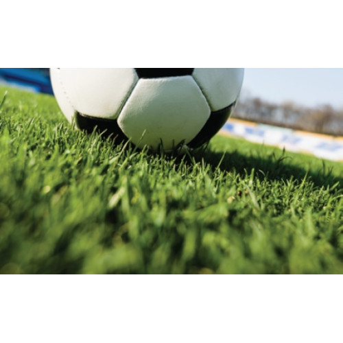 Rulou Gazon Sport 40 m2