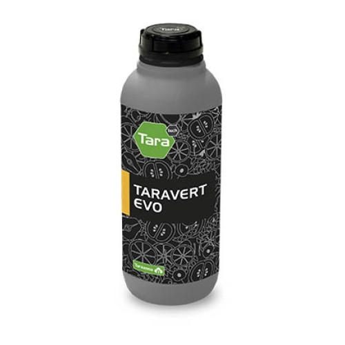 TARAVERT ROOT 1L