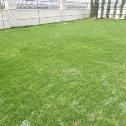 Rulou Gazon Soare 40 m2