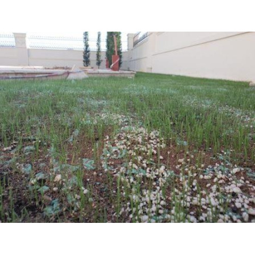 Rulou Gazon Soare 40 m2