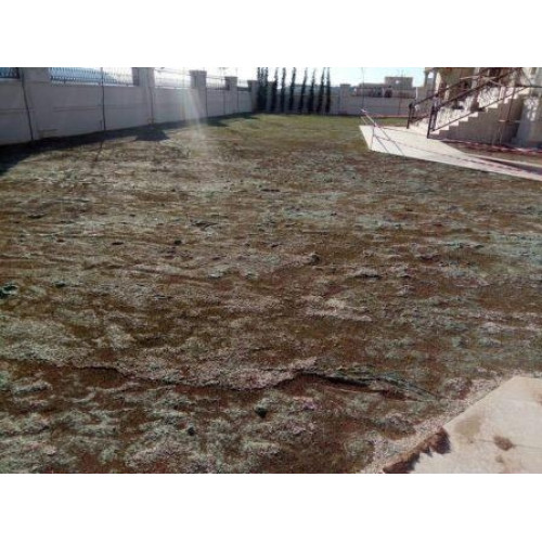 Rulou Gazon Soare 40 m2